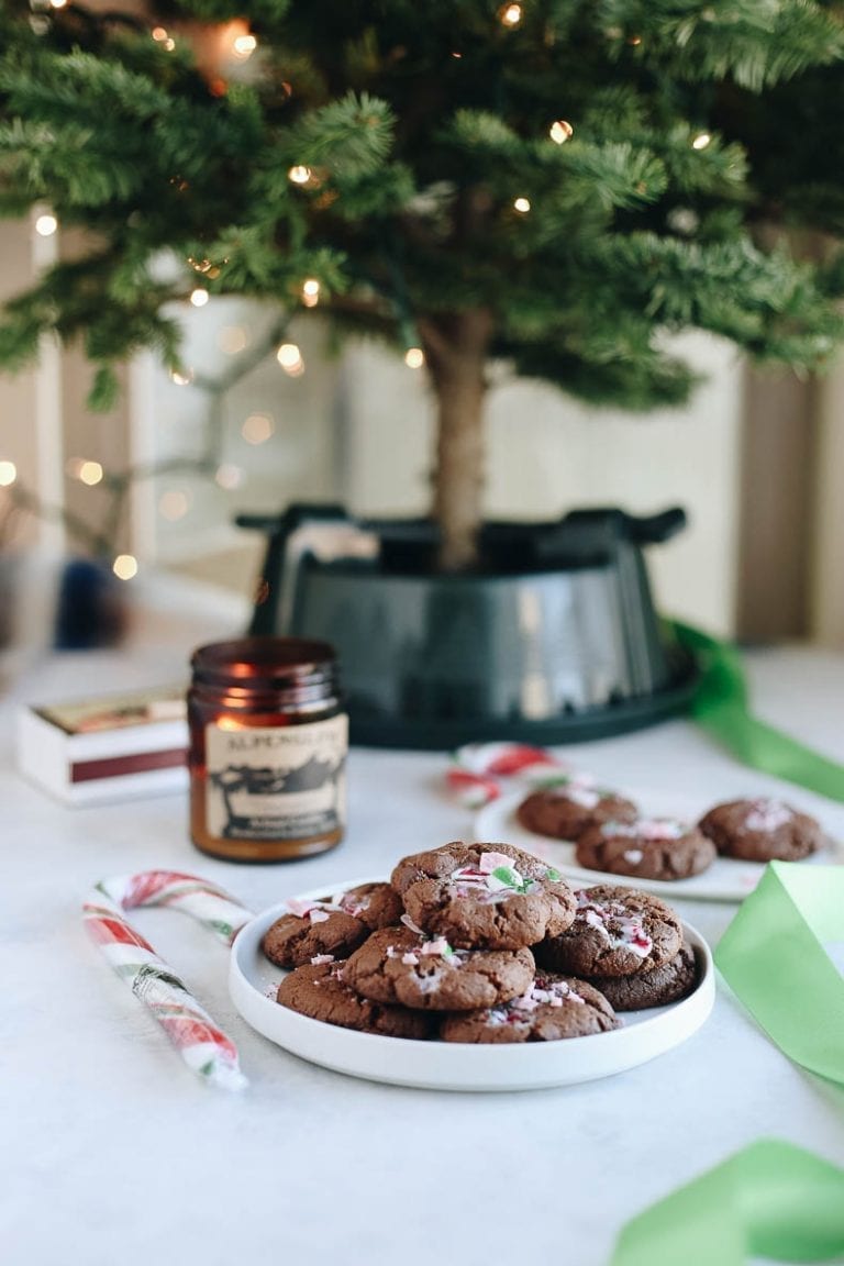 A recipe for Healthy Peppermint Chocolate Cookies that are grain-free, paleo and made in one-bowl. They're not short on delicious, sweet flavor though!