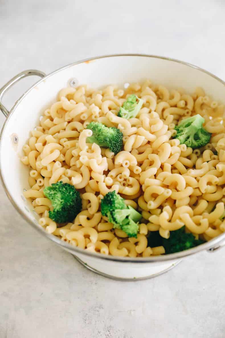 cooked and strained elbow pasta and broccoli